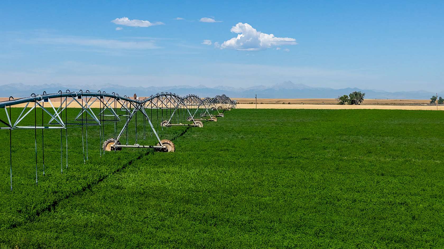 238 Acres of Agricultural Land for Sale in Hudson, Colorado