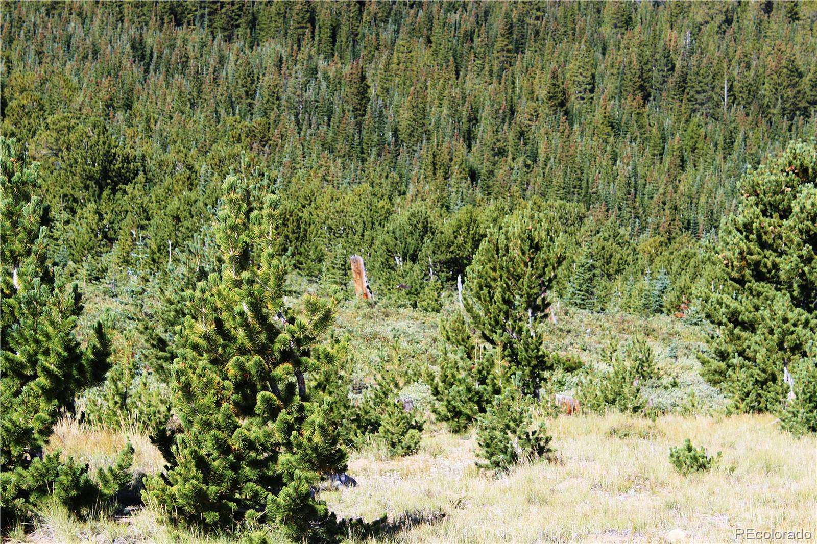 5.17 Acres of Residential Land for Sale in Black Hawk, Colorado