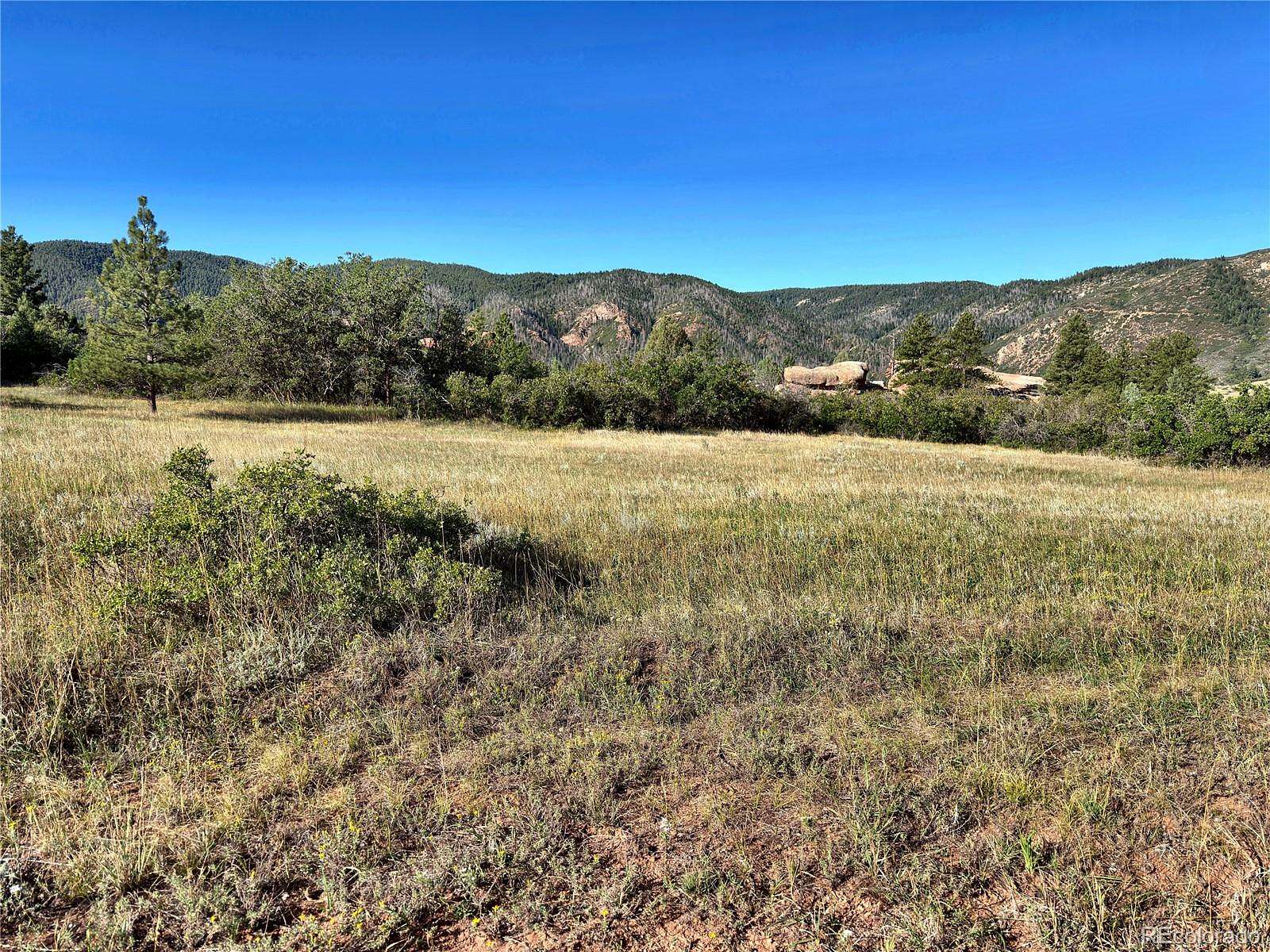 0.9 Acres of Land for Sale in Larkspur, Colorado