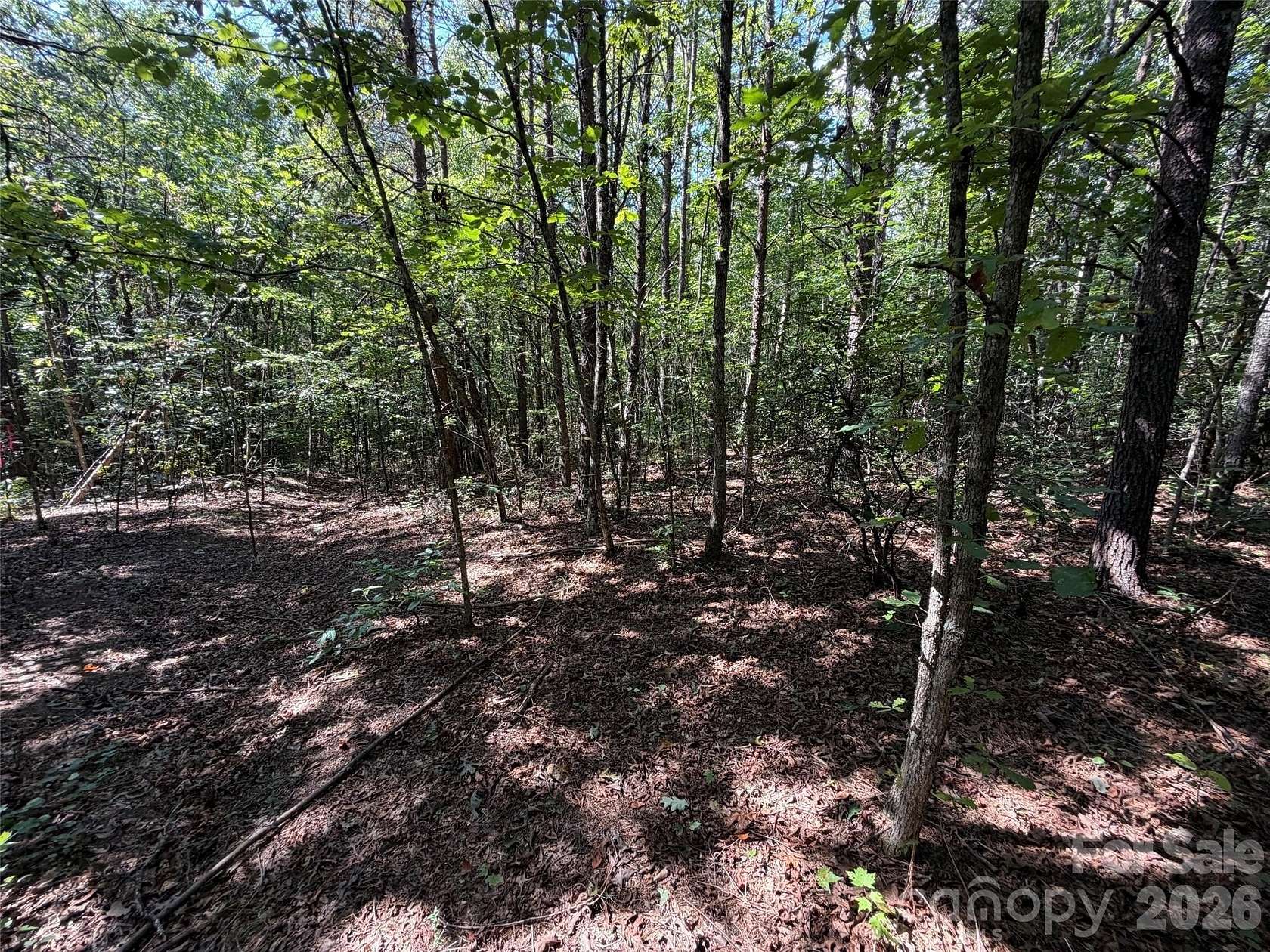 1.25 Acres of Residential Land for Sale in Nebo, North Carolina
