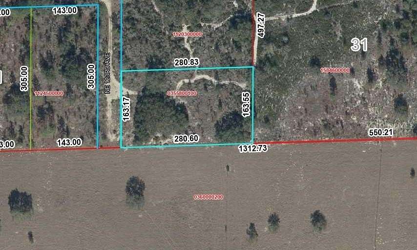 1 Acre of Land for Sale in Williston, Florida
