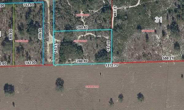 1 Acre of Land for Sale in Williston, Florida