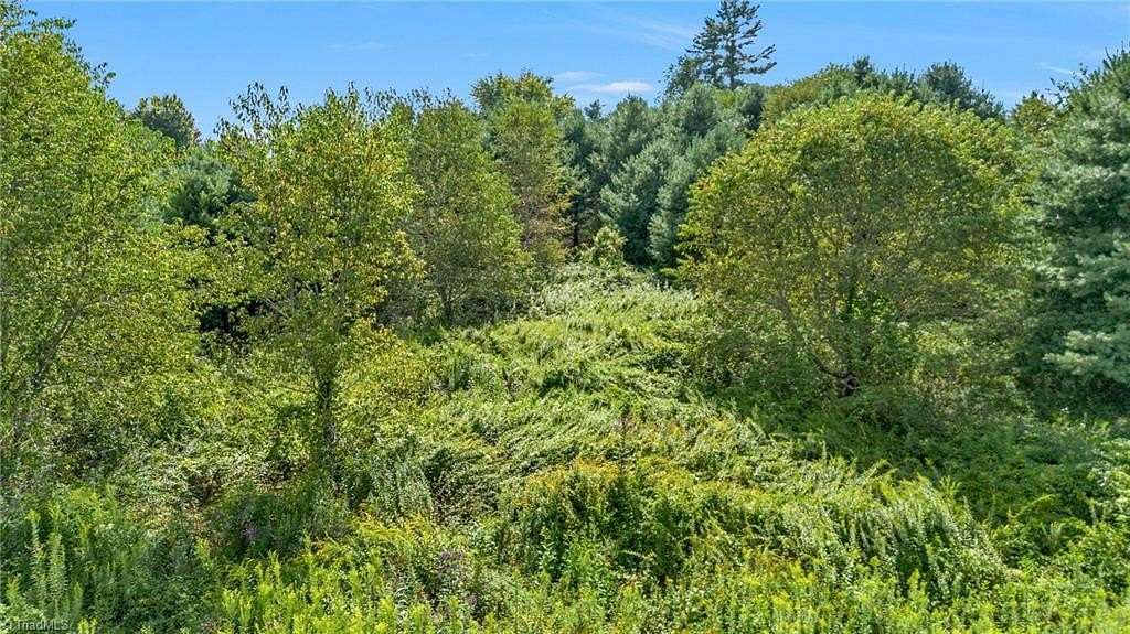 0.77 Acres of Residential Land for Sale in Todd, North Carolina