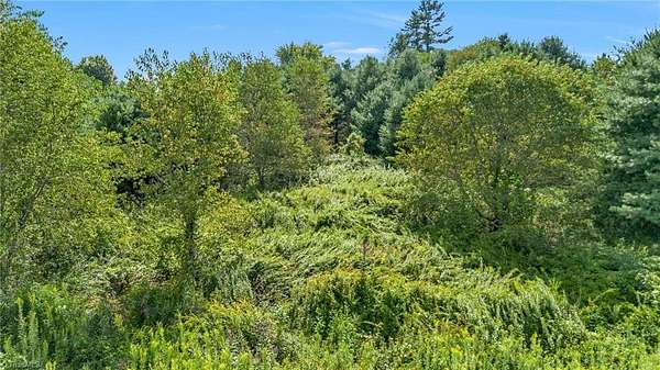 0.77 Acres of Residential Land for Sale in Todd, North Carolina