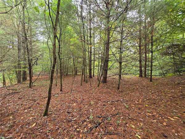 0.83 Acres of Residential Land for Sale in Todd, North Carolina
