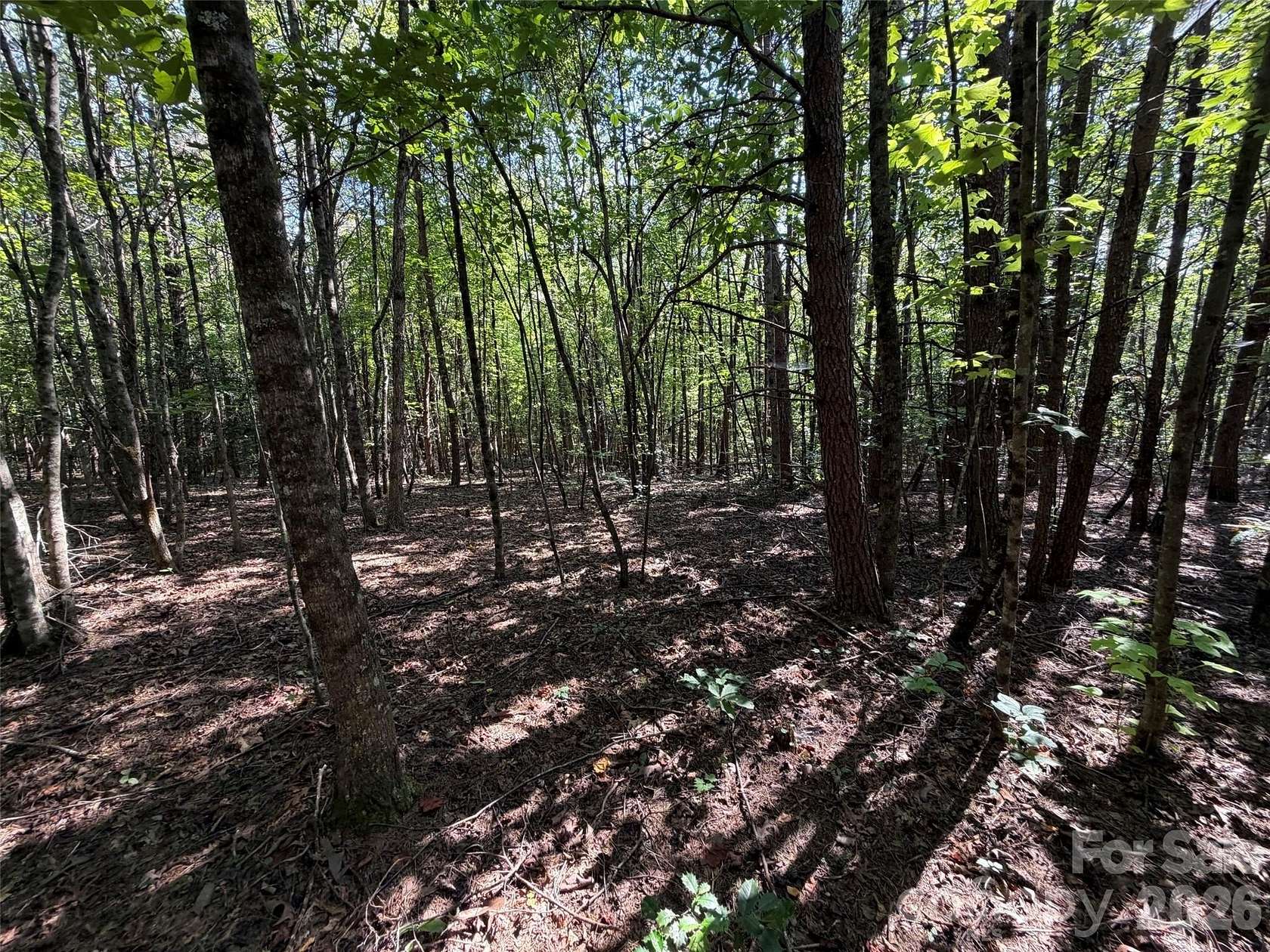 1.25 Acres of Residential Land for Sale in Nebo, North Carolina