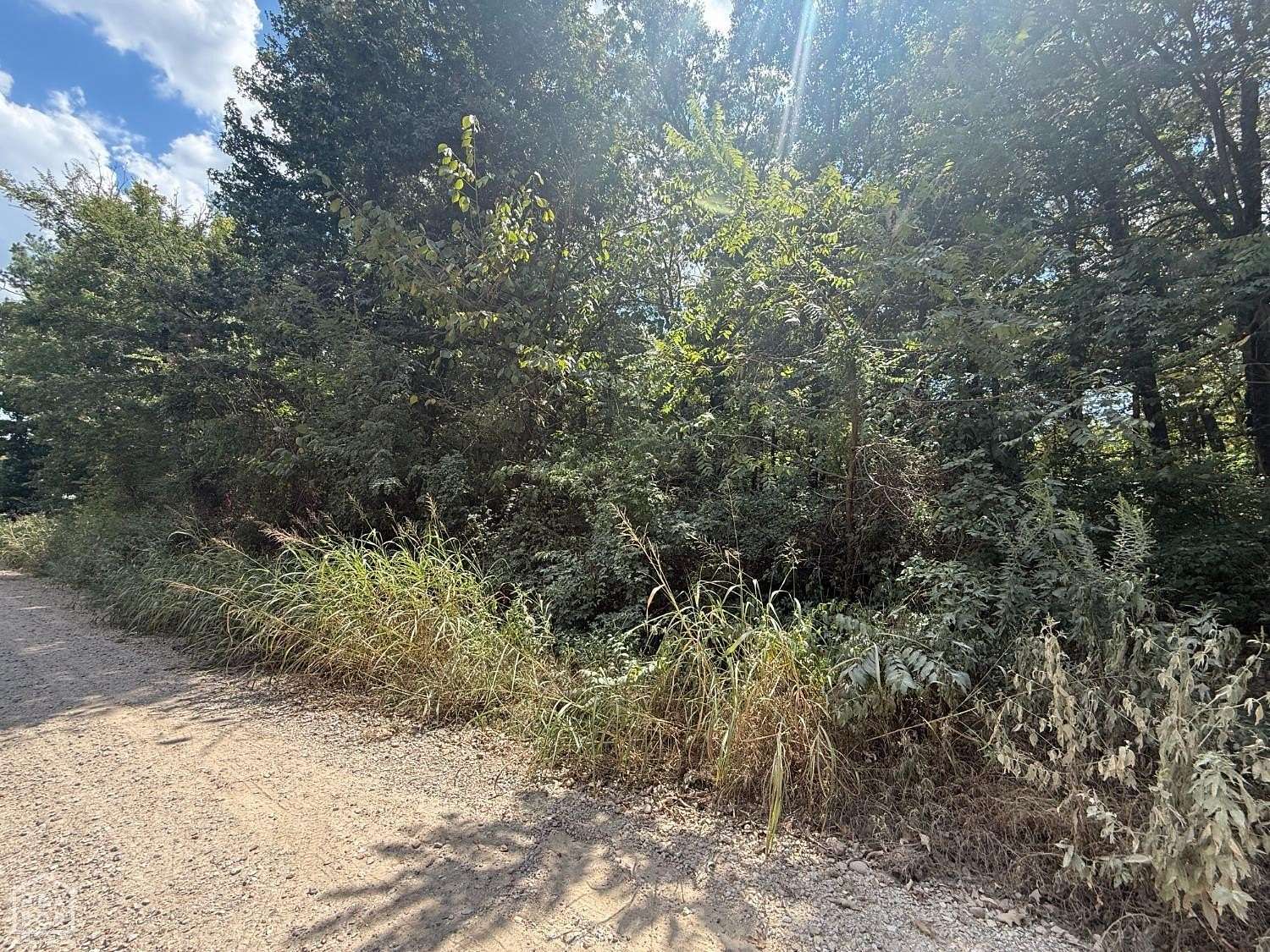 1.16 Acres of Residential Land for Sale in Bono, Arkansas