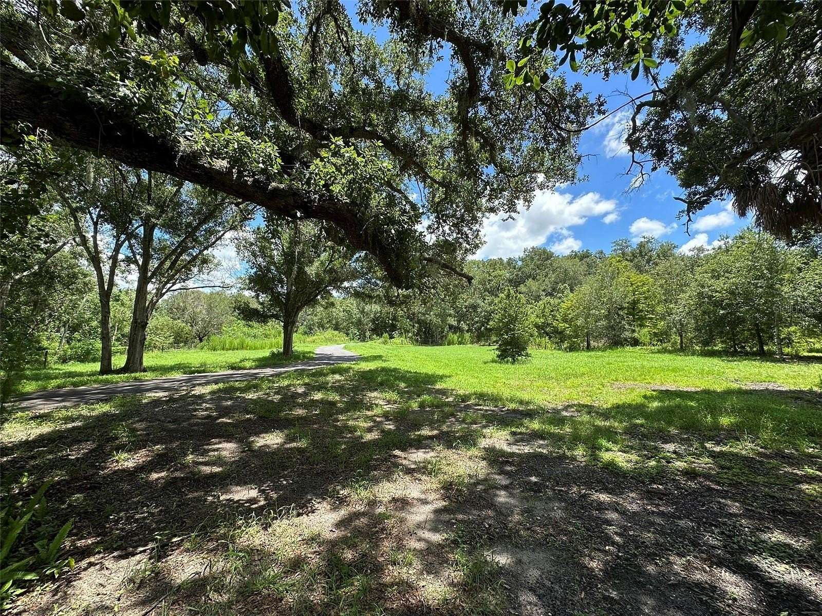 4.19 Acres of Residential Land for Sale in Palm Harbor, Florida
