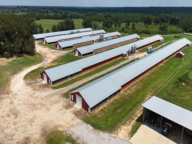 22 Acres of Agricultural & Residential Land for Sale in Andalusia, Alabama