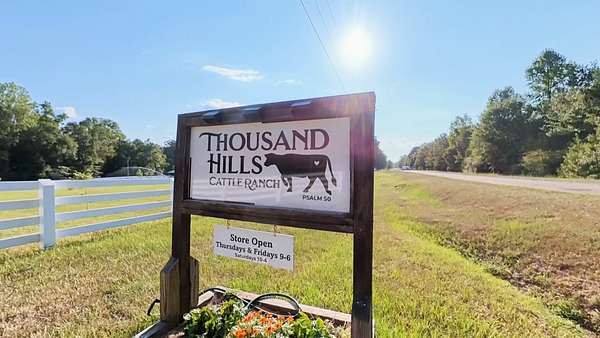 17.3 Acres of Land with Home for Sale in Barnesville, Georgia