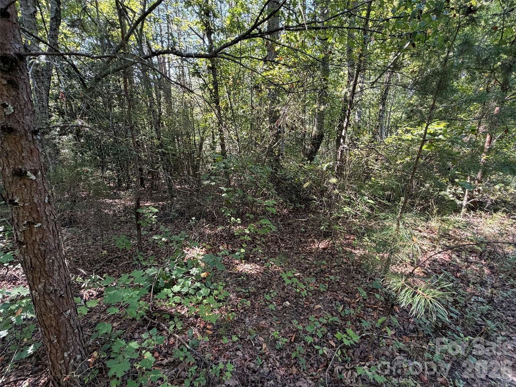 15 Acres of Land for Sale in Nebo, North Carolina