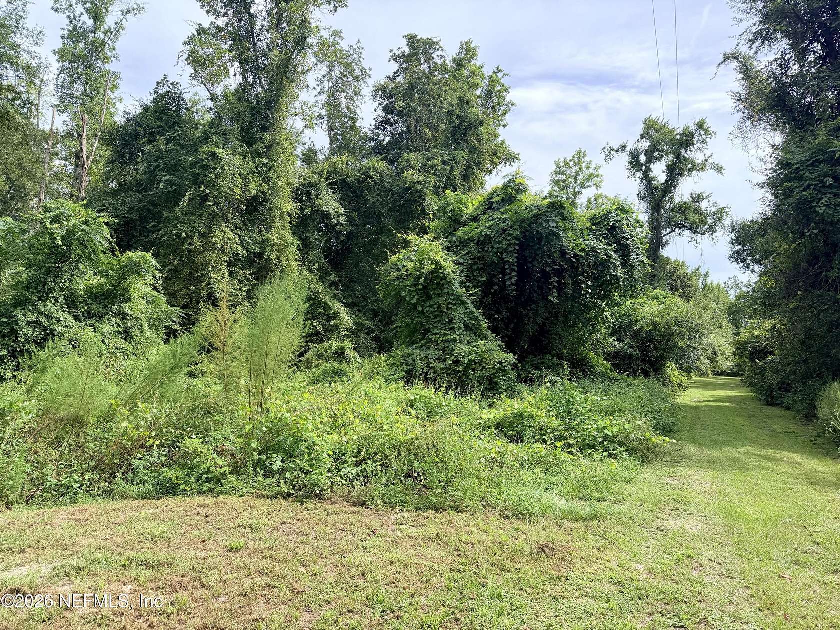 10.6 Acres of Recreational Land for Sale in Sanderson, Florida