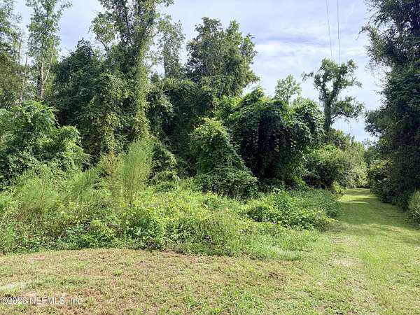 10.6 Acres of Recreational Land for Sale in Sanderson, Florida