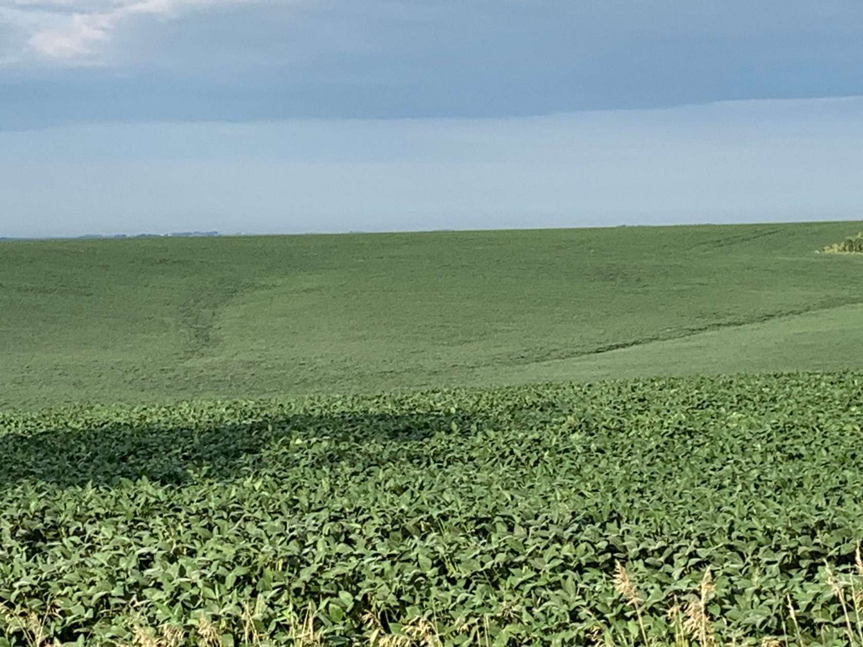 390 Acres of Land for Auction in Rosalie, Nebraska