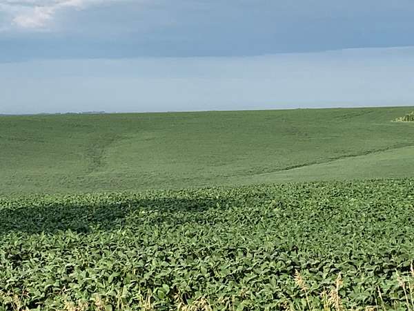 390 Acres of Land for Auction in Rosalie, Nebraska