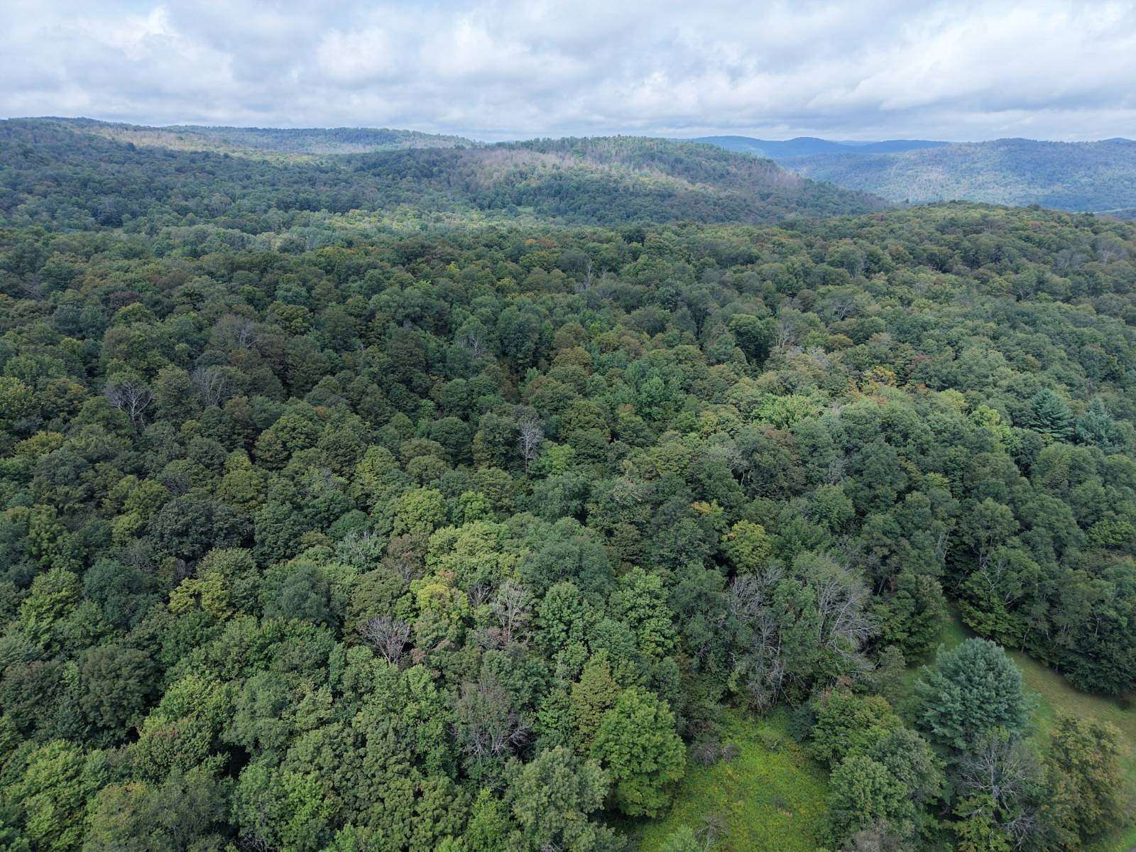 15 Acres of Recreational Land for Sale in Long Eddy, New York