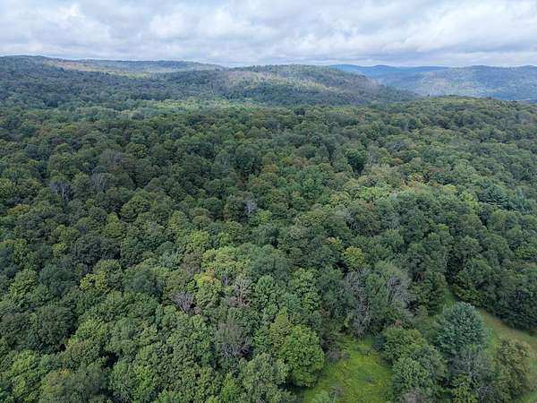 15 Acres of Recreational Land for Sale in Long Eddy, New York