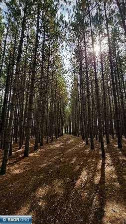 5.28 Acres of Land with Home for Sale in Virginia, Minnesota