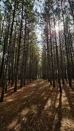 5.28 Acres of Land with Home for Sale in Virginia, Minnesota