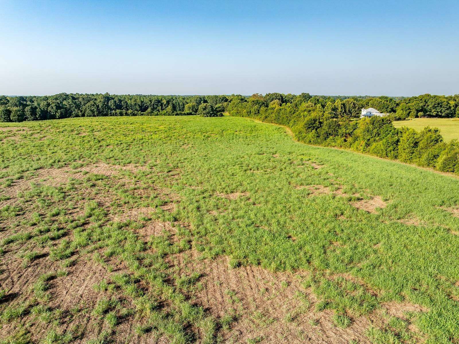 99 Acres of Mixed-Use Land for Sale in Laurens, South Carolina