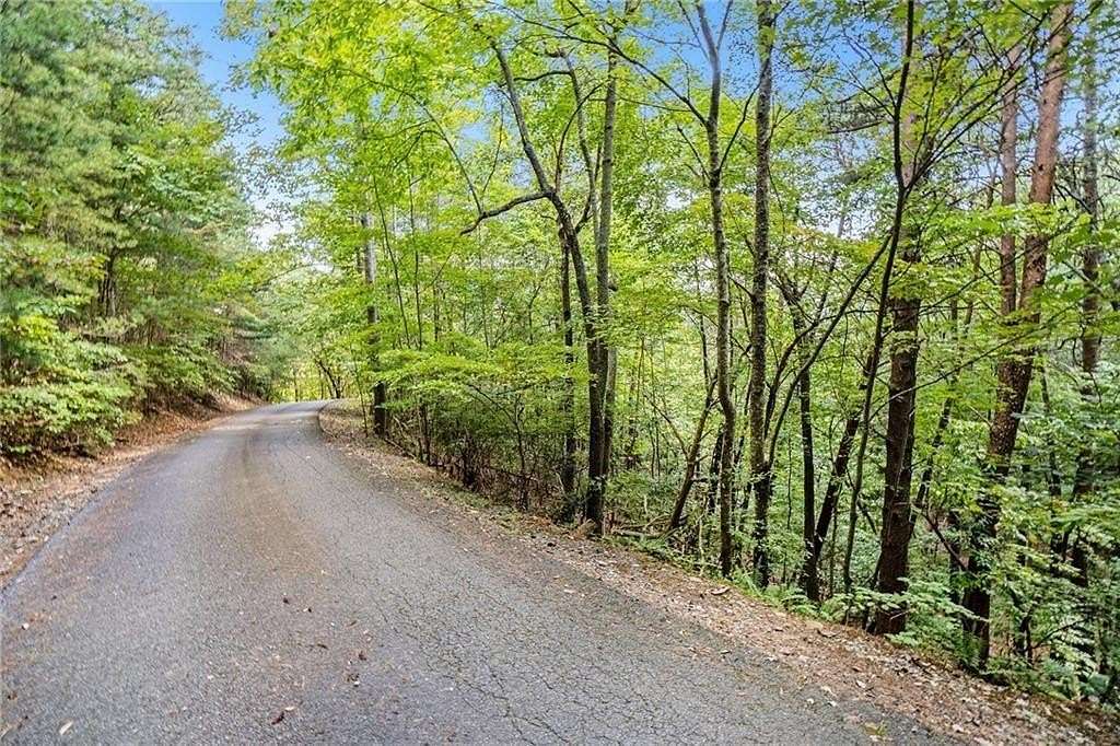 16.8 Acres of Land for Sale in Ellijay, Georgia