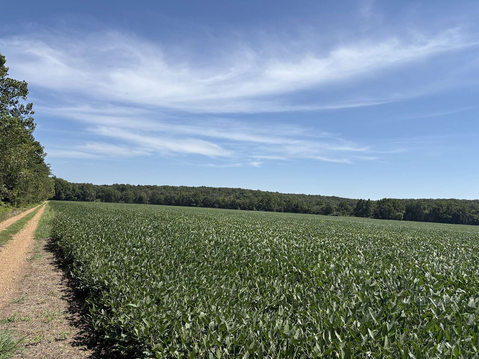 44 Acres of Land for Sale in Belle, Missouri
