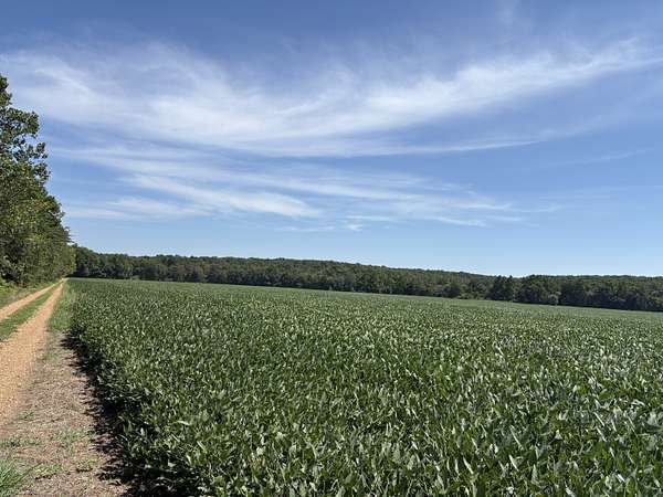 44 Acres of Land for Sale in Belle, Missouri