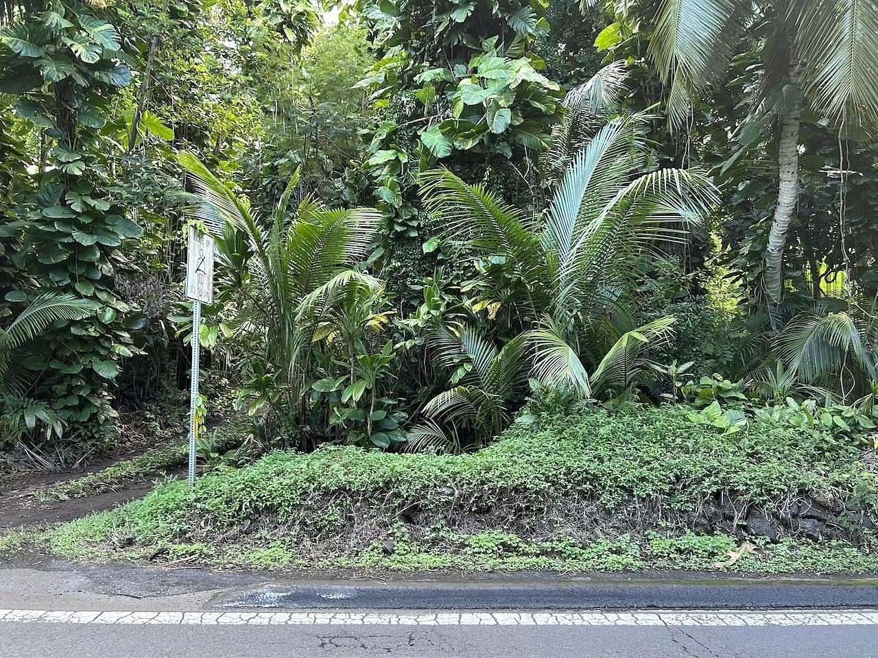 5.87 Acres of Land with Home for Sale in Hana, Hawaii