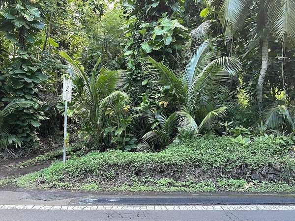 5.87 Acres of Land with Home for Sale in Hana, Hawaii