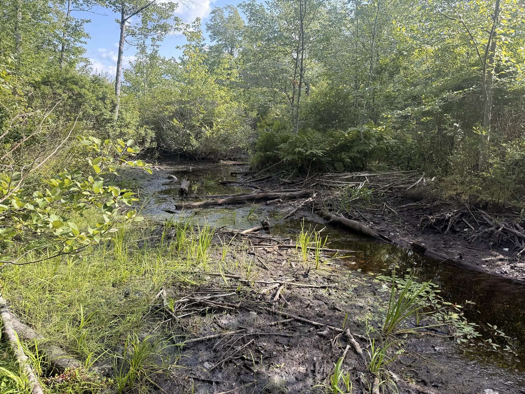 28 Acres of Recreational Land for Sale in Alton, Maine