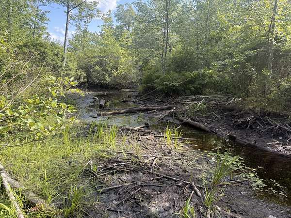 28 Acres of Recreational Land for Sale in Alton, Maine