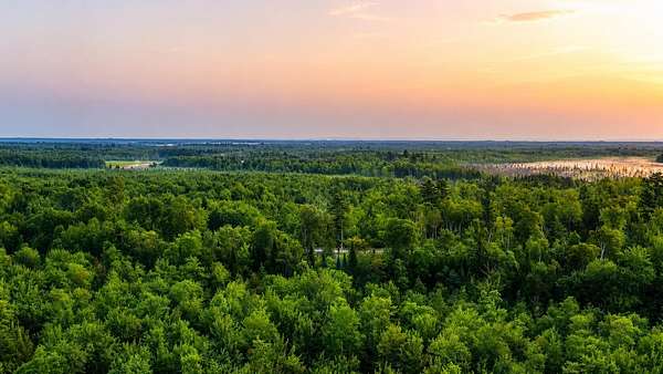 28 Acres of Recreational Land for Sale in Alton, Maine