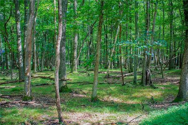 0.49 Acres of Residential Land for Sale in Penn Forest Township, Pennsylvania