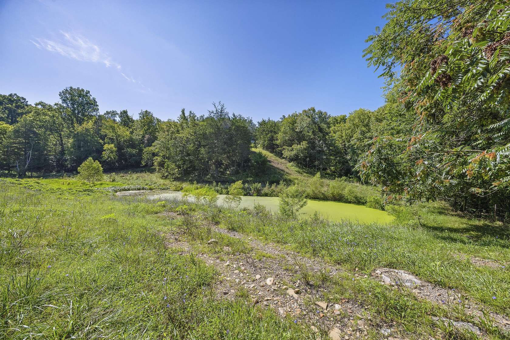 95.3 Acres of Agricultural Land for Sale in Dandridge, Tennessee