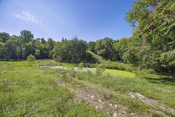 95.3 Acres of Agricultural Land for Sale in Dandridge, Tennessee