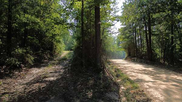 38 Acres of Recreational & Residential Land for Sale in Billingsley, Alabama