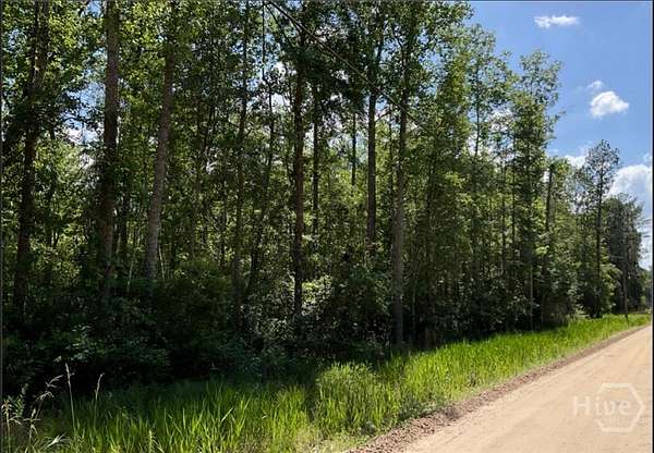 2.14 Acres of Residential Land for Sale in Jesup, Georgia