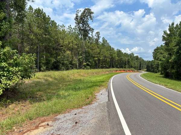 43.2 Acres of Recreational & Residential Land for Sale in Quitman, Mississippi