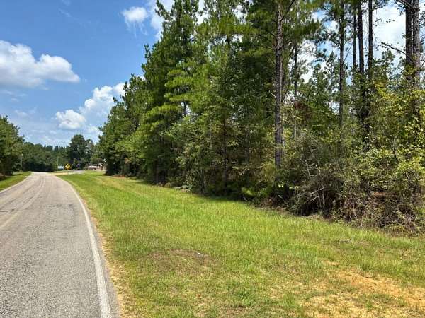 55.5 Acres of Recreational & Residential Land for Sale in Quitman, Mississippi