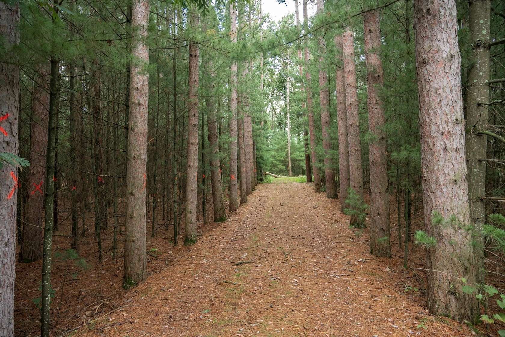 3 Acres of Residential Land for Sale in Wisconsin Dells, Wisconsin