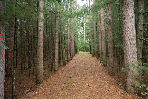 3 Acres of Residential Land for Sale in Wisconsin Dells, Wisconsin