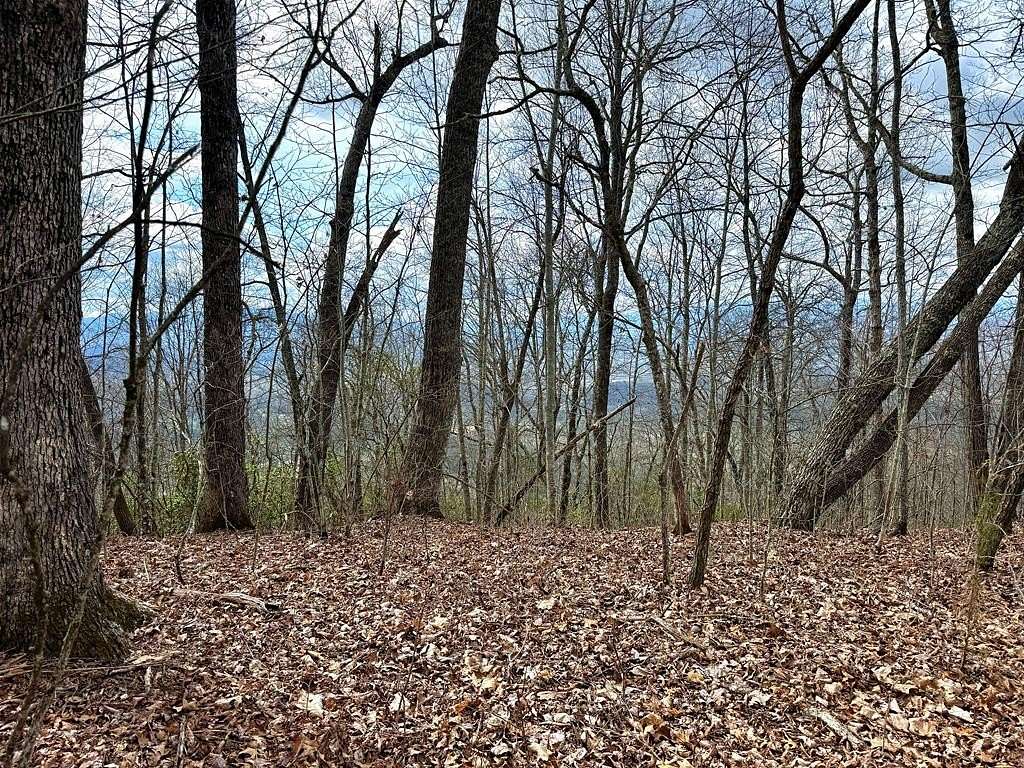 1.15 Acres of Residential Land for Sale in Franklin, North Carolina