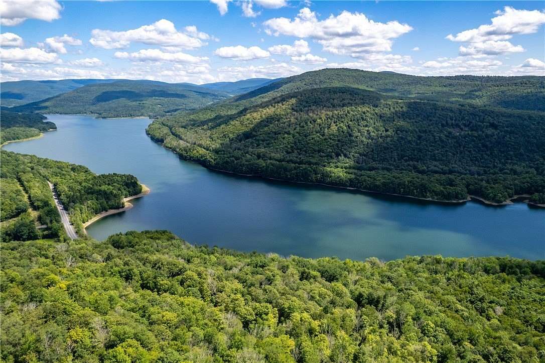 133 Acres of Recreational Land with Home for Sale in Andes, New York