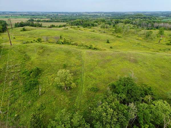 61.7 Acres of Land for Sale in Pine Island, Minnesota