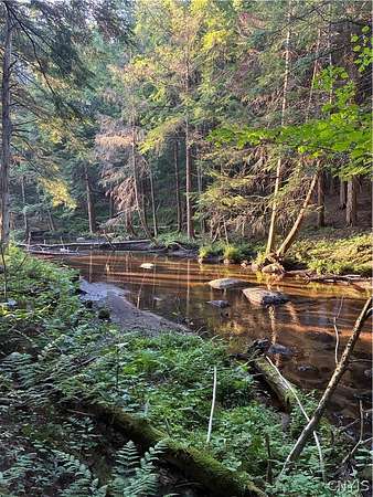 12.1 Acres of Recreational Land for Sale in Forestport, New York