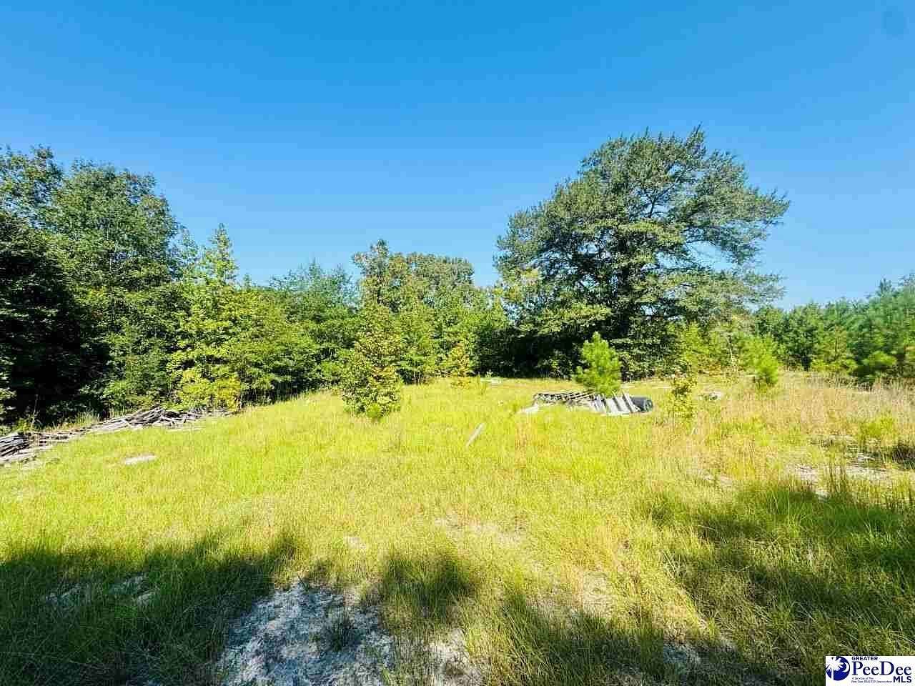3.4 Acres of Residential Land for Sale in Jefferson, South Carolina