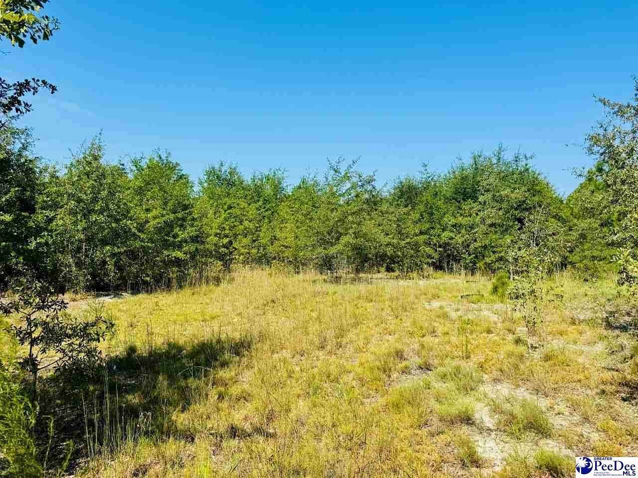 30 Acres of Land for Sale in Jefferson, South Carolina