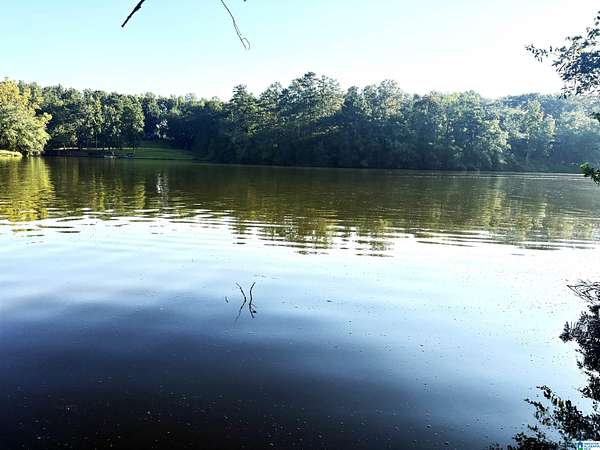 0.62 Acres of Residential Land for Sale in Wedowee, Alabama