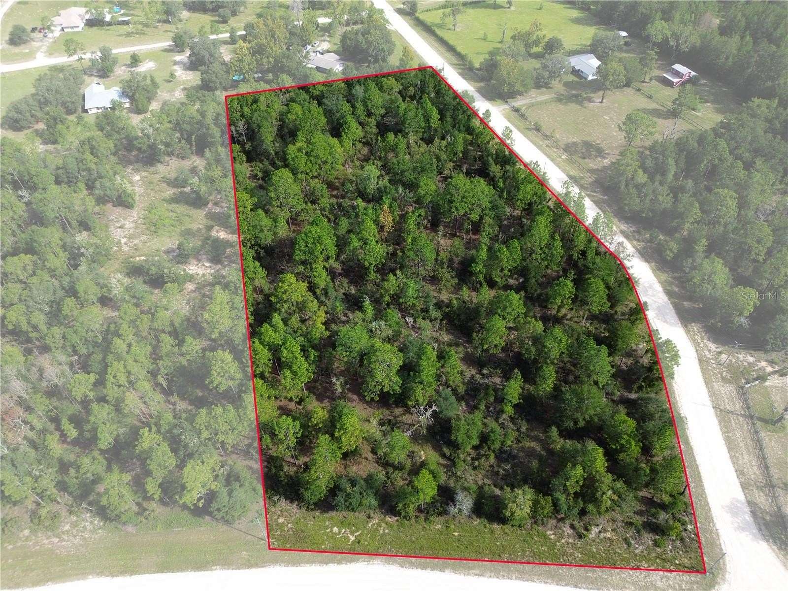 4.13 Acres of Residential Land for Sale in Williston, Florida