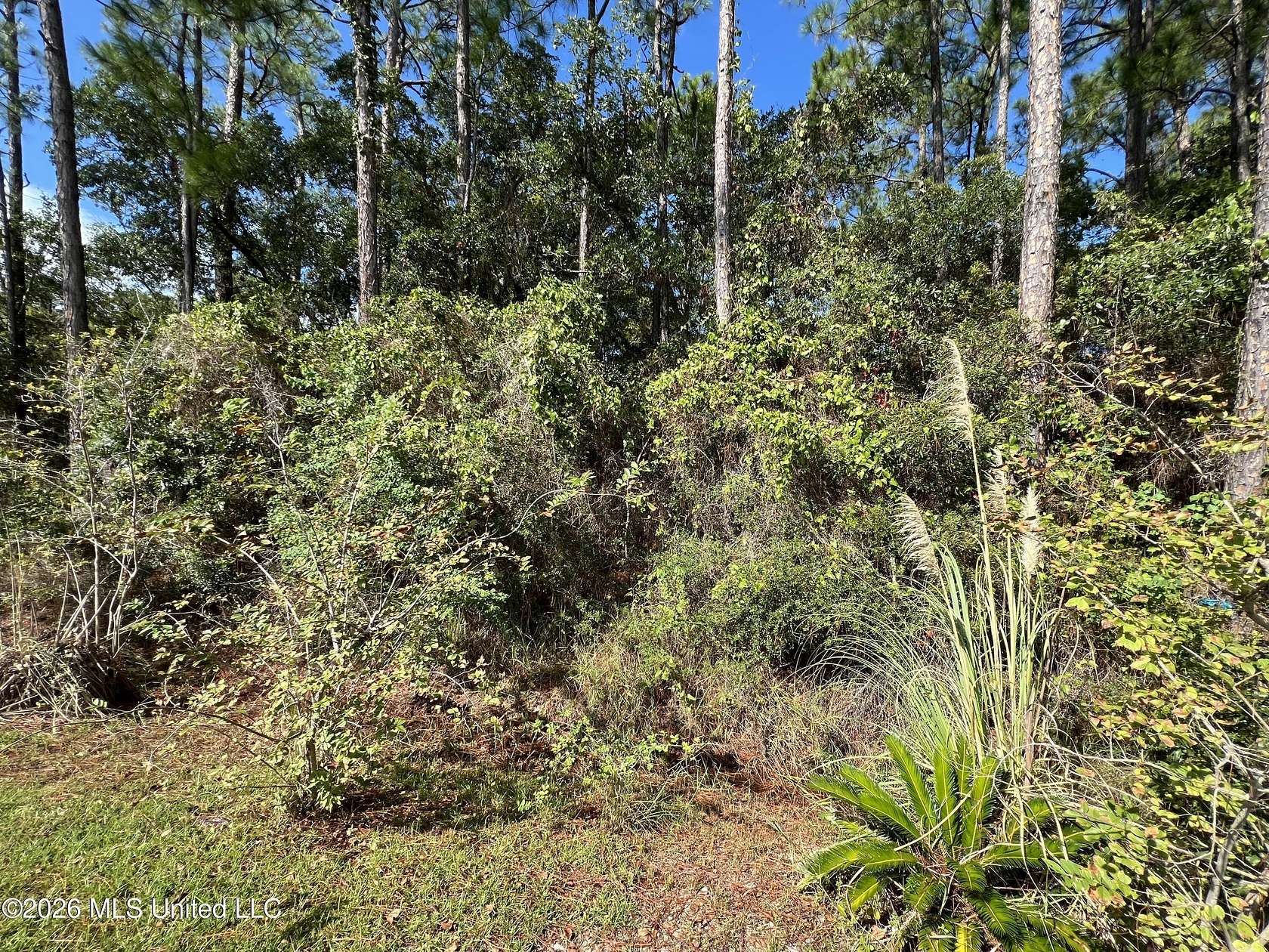 0.17 Acres of Residential Land for Sale in Pass Christian, Mississippi